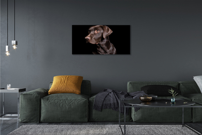 Obraz na plátne hnedý pes
