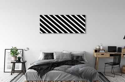 Obraz na plátne zebra pruhy