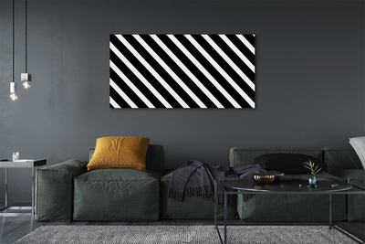 Obraz na plátne zebra pruhy
