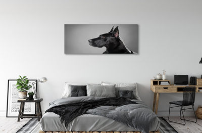 Obraz na plátne Čierny pes