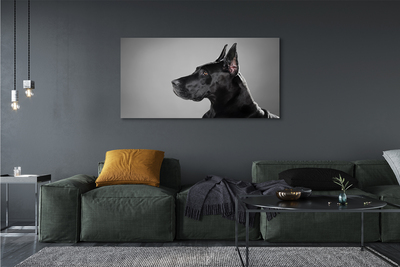 Obraz na plátne Čierny pes