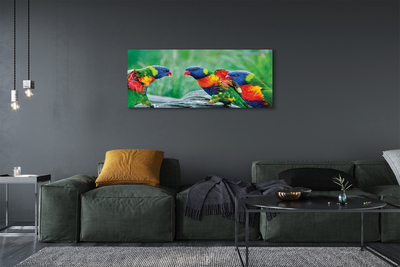 Obraz na plátne Farebný papagáj stromu
