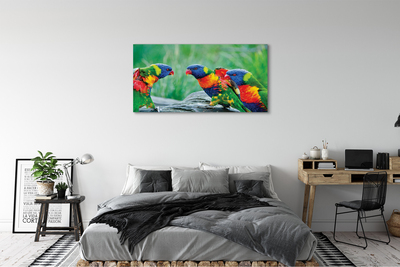 Obraz na plátne Farebný papagáj stromu