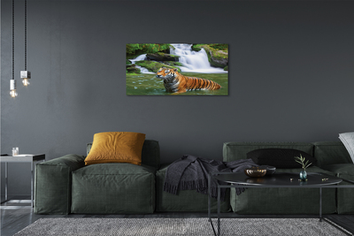 Obraz na plátne tiger vodopád