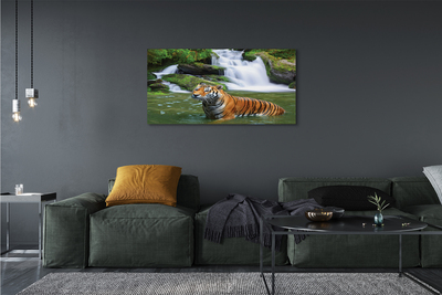 Obraz na plátne tiger vodopád