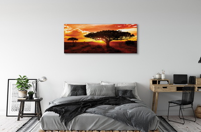 Obraz canvas Stromy mraky západ