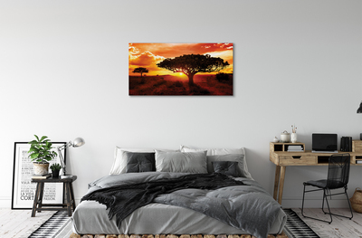 Obraz canvas Stromy mraky západ