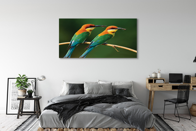 Obraz na plátne Farebné papagáj na vetve