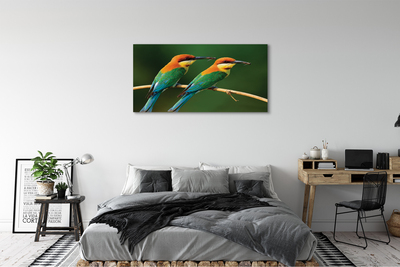 Obraz na plátne Farebné papagáj na vetve