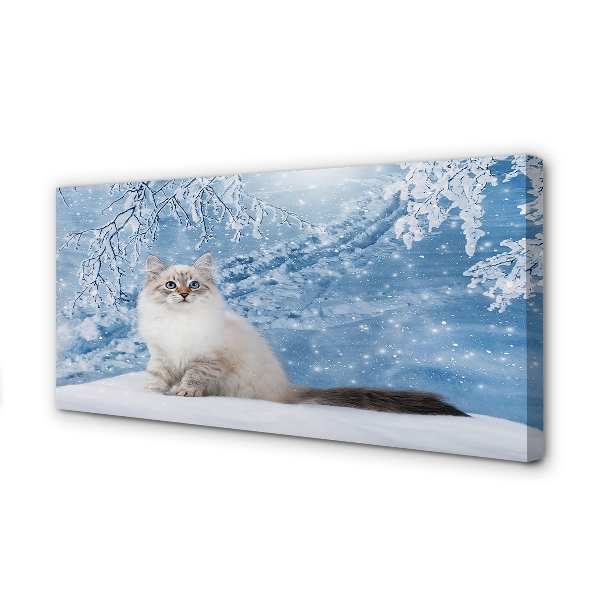 Obraz na plátne mačka zima