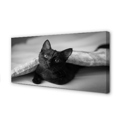 Obraz na plátne Mačka pod prikrývkou