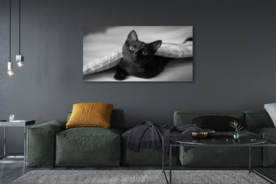 Obraz na plátne Mačka pod prikrývkou