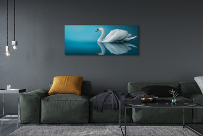 Obraz na plátne Swan vo vode