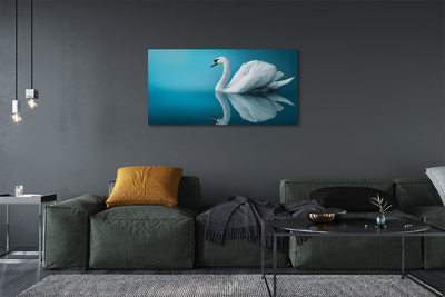 Obraz na plátne Swan vo vode