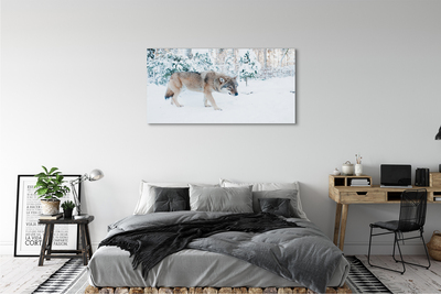 Obraz na plátne Vlk v zime lese