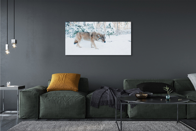 Obraz na plátne Vlk v zime lese