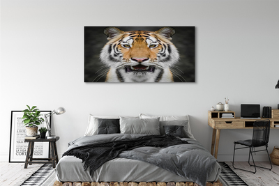 Obraz na plátne tiger