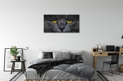 Obraz na plátne Čierna mačka