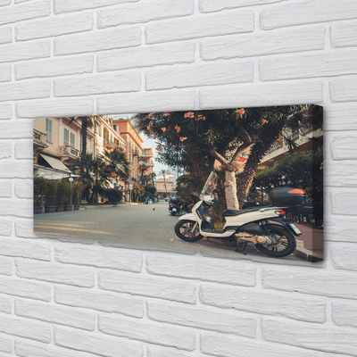 Obraz canvas mestské Motocykle palmového leta