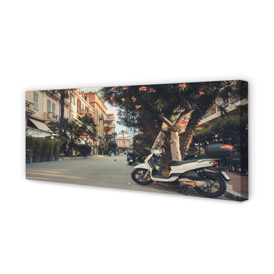 Obraz canvas mestské Motocykle palmového leta