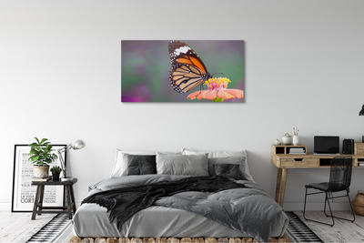 Obraz na plátne Farebný motýľ kvetina