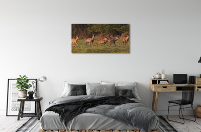 Obraz na plátne Deer Golf svitania