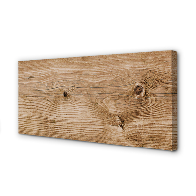 Obraz canvas Plank dreva