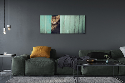 Obraz na plátne Zaglądający cat