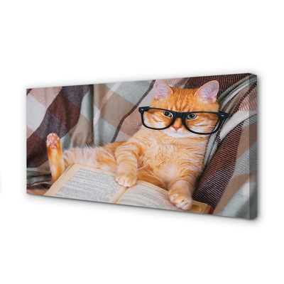 Obraz na plátne čitateľ cat