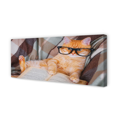 Obraz na plátne čitateľ cat