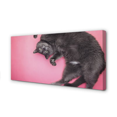 Obraz na plátne ležiace mačka