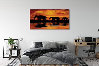 Obraz canvas slony West Lake