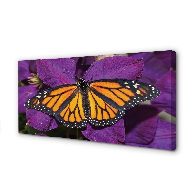 Obraz na plátne Farebný motýľ kvety