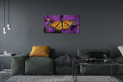 Obraz na plátne Farebný motýľ kvety