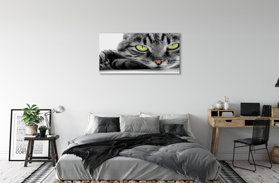 Obraz na plátne šedočierna mačka