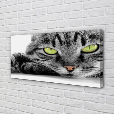 Obraz na plátne šedočierna mačka
