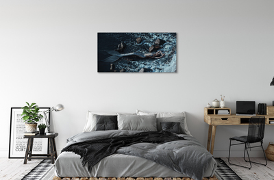 Obraz canvas morská siréna