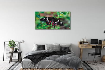 Obraz na plátne List farebný motýľ