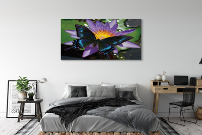 Obraz na plátne motýľ kvetina
