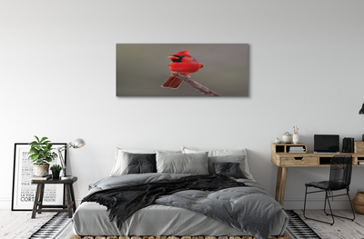 Obraz na plátne Red papagáj na vetve