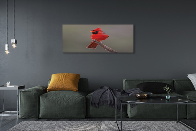 Obraz na plátne Red papagáj na vetve