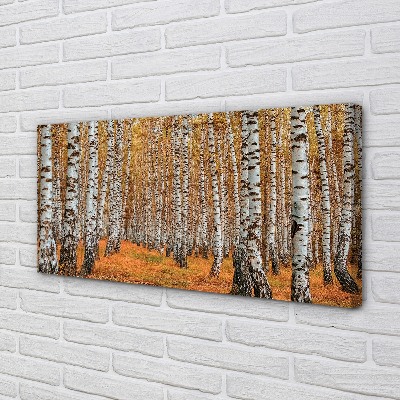 Obraz canvas jesenné stromy