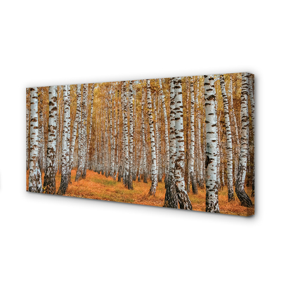 Obraz canvas jesenné stromy