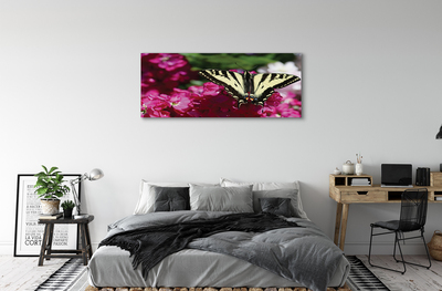 Obraz na plátne kvety motýľ