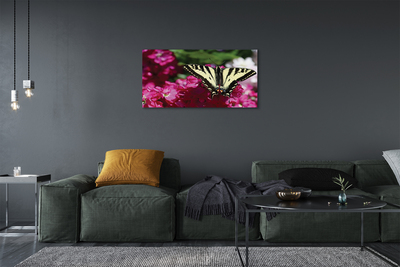 Obraz na plátne kvety motýľ