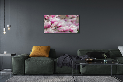 Obraz canvas kvety