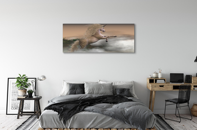 Obraz canvas Unicorn mraky