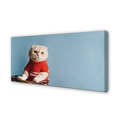 Obraz na plátne sediaci mačka