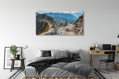 Obraz canvas hory