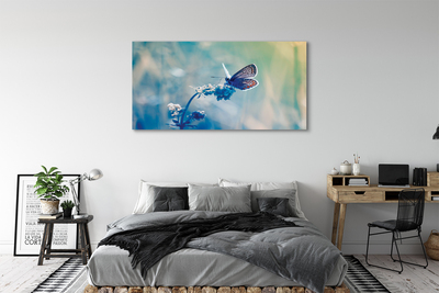 Obraz na plátne farebný motýľ
